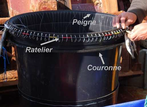 CAISSE FILEHOOK A PALANGRES